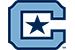 The Citadel logo